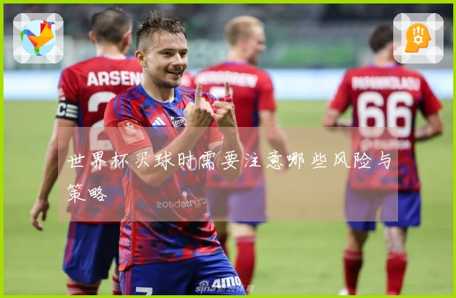 世界杯买球时需要注意哪些风险与策略