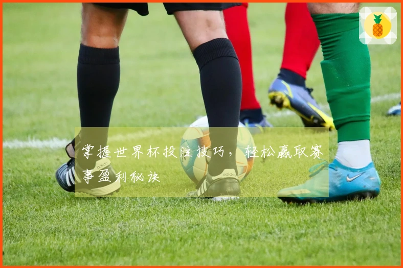 掌握世界杯投注技巧，轻松赢取赛事盈利秘诀